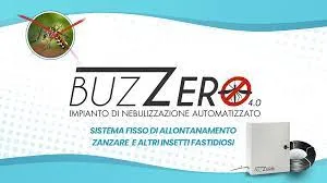 Buzzero, foto 1